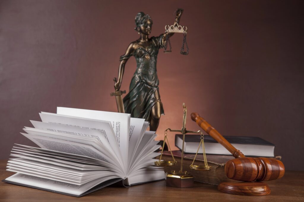 employment litigation lawyer